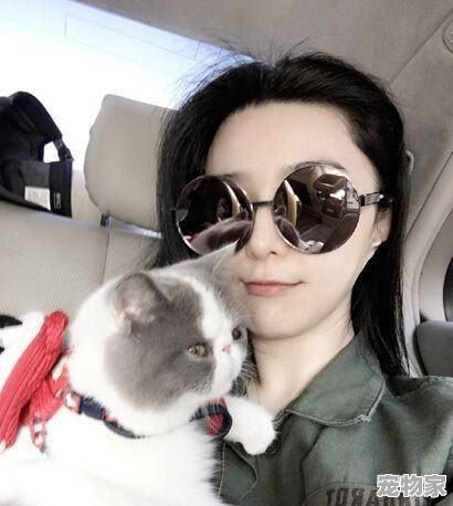 郭碧婷养20只狗10只猫40只鸟在家里，如果你的女朋友也养这么多，你能接受吗