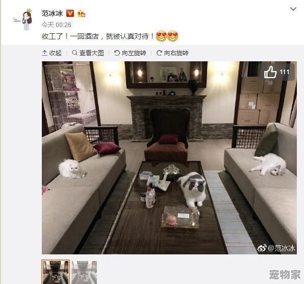 郭碧婷养20只狗10只猫40只鸟在家里，如果你的女朋友也养这么多，你能接受吗