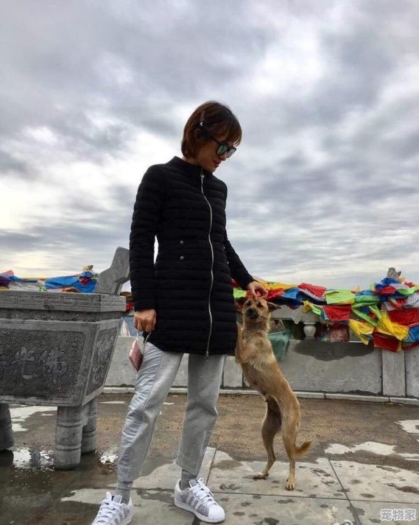 郭碧婷养20只狗10只猫40只鸟在家里，如果你的女朋友也养这么多，你能接受吗