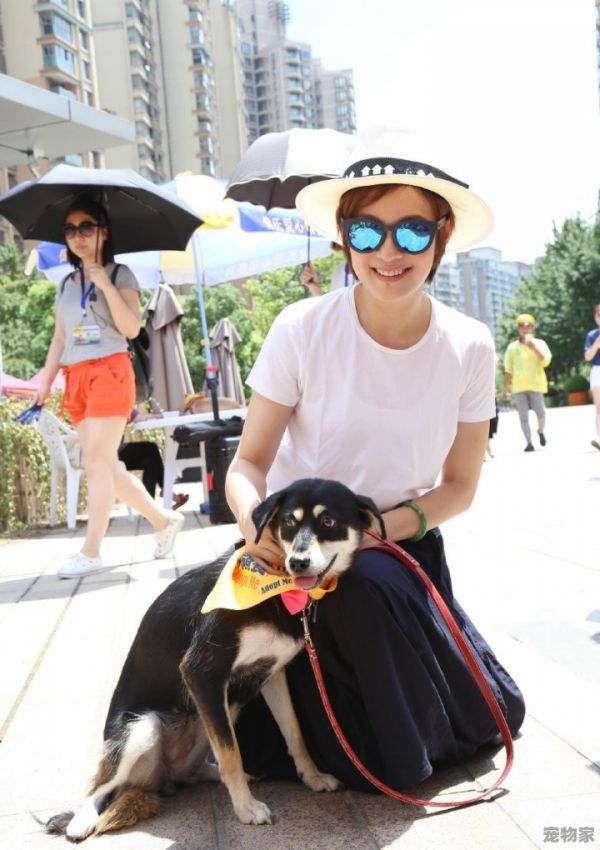 郭碧婷养20只狗10只猫40只鸟在家里，如果你的女朋友也养这么多，你能接受吗