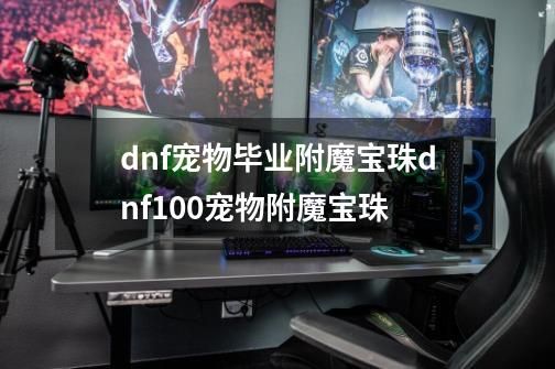 dnf宠物毕业附魔宝珠dnf100宠物附魔宝珠-第1张-游戏信息-云推网