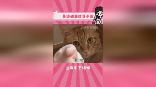 你问她要不要她肯定说不要，但你直接买给她她肯定向所有人炫耀