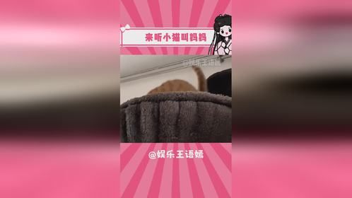 谁懂？它真的长得很有礼貌