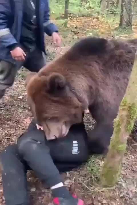 俄国人与宠物玩耍中