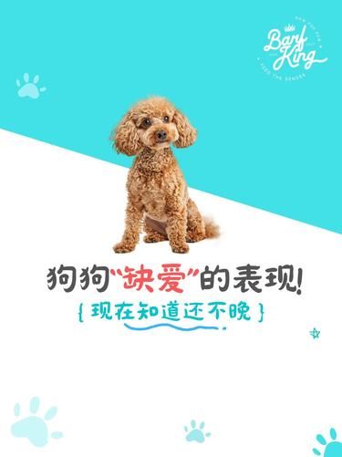 缺爱的狗狗有哪些明显表现？