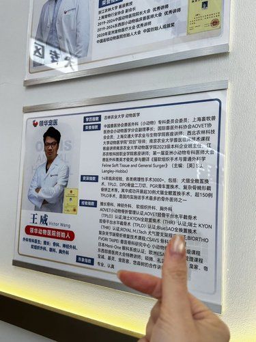 狗狗一年一度的疫苗时间又到了啦！