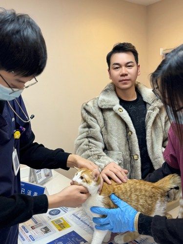 上海铲屎官必看！毛孩子的就医全攻略