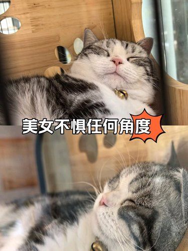 美女不惧任何角度