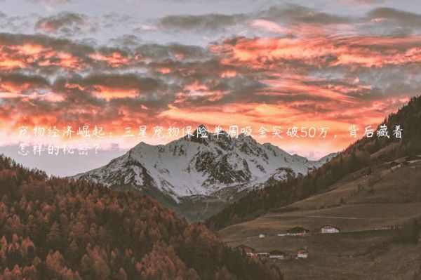 宠物经济崛起：三星宠物保险单周吸金突破50万，背后藏着怎样的秘密？