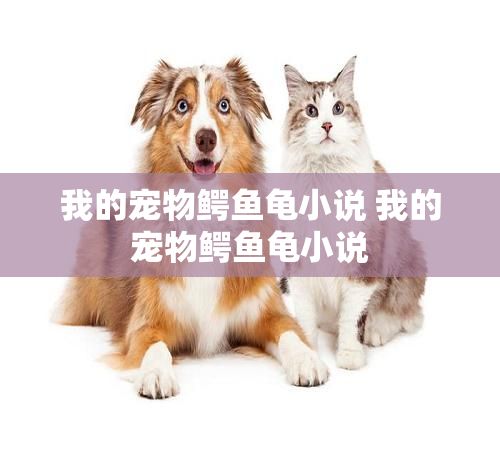 我的宠物鳄鱼龟小说 我的宠物鳄鱼龟小说