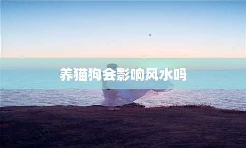2养猫狗会影响风水吗