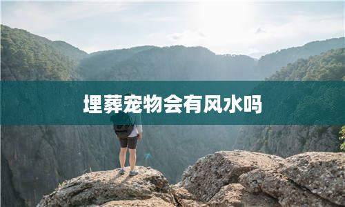 埋葬宠物会有风水吗
