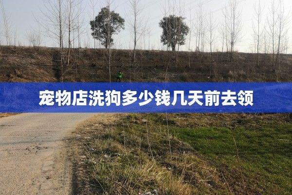 宠物店洗狗多少钱几天前去领