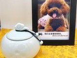上海长宁24小时宠物火化 宠物殡葬-请找宠爱多 殡葬宠物公司