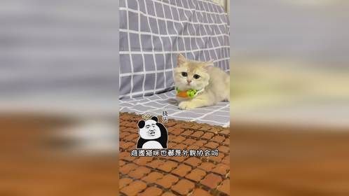 咱就是说这长得好看就是管用～