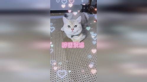 这算什么？脖围诱惑吗？
