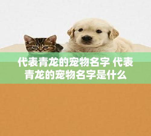 代表青龙的宠物名字 代表青龙的宠物名字是什么