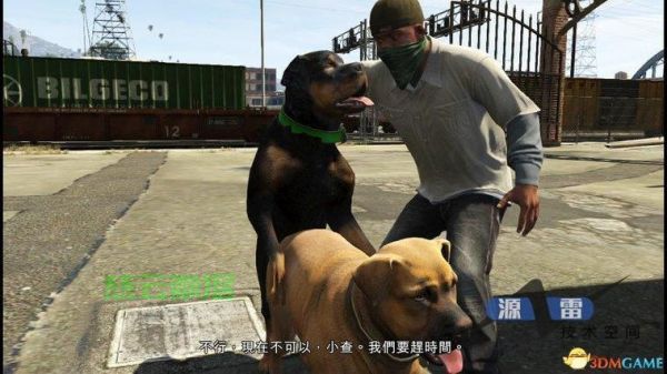 GTA5小查训练秘籍，成为宠物大师，轻松掌握全攻略！ 第1张