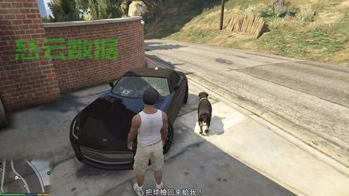 GTA5小查训练秘籍，成为宠物大师，轻松掌握全攻略！ 第3张