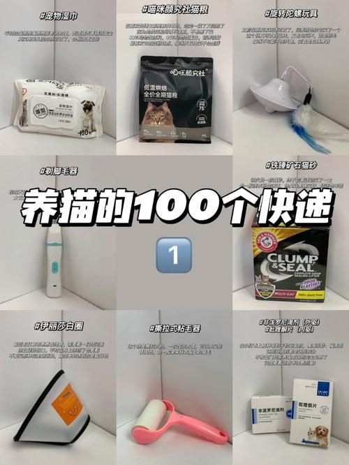 宠物猫怎么寄走_宠物猫怎么寄走快递