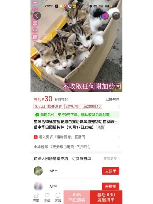 宠物猫怎么寄走_宠物猫怎么寄走快递