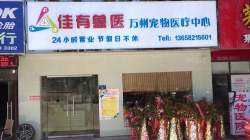 万州宠物医院排名,万州宠物医院排名前十