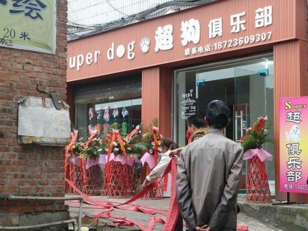 万州宠物医院排名,万州宠物医院排名前十