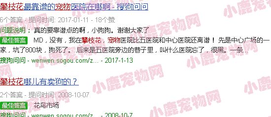 攀枝花宠物吧