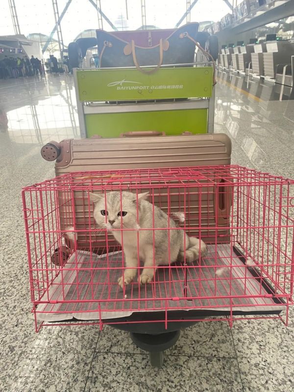 济南 托运运输 靠谱 托运运输费用