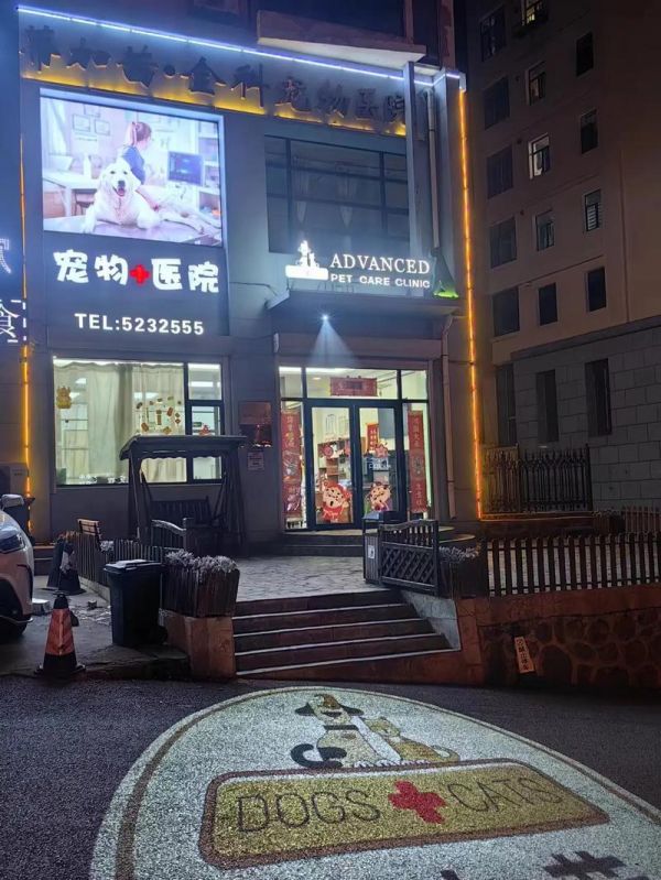 海城宠物医院电话，为什么鞍山做宠物生意的那么多？