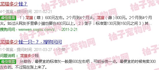 宠物龙猫多少钱