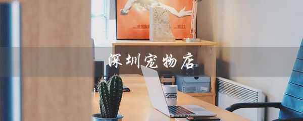 深圳宠物店（深圳宠物店街在哪）