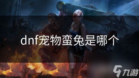 dnf兔年宠物礼盒_dnf雪兔宠物_
