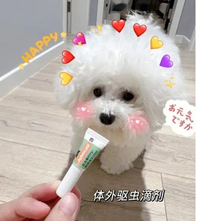 宠物驱虫哪家好，宠物体外驱虫药哪个品牌好