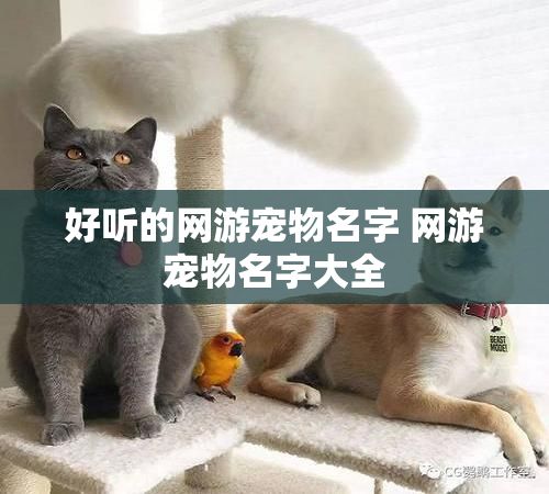 好听的网游宠物名字 网游宠物名字大全