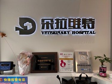 医术超赞 医心更美~