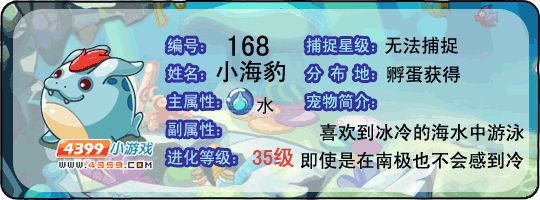 洛克王国小海豹