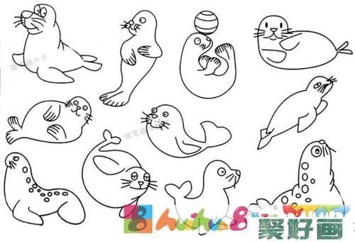 海豹简笔画的画法步骤怎么画简笔画教程
