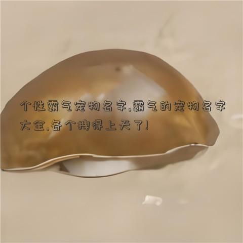 个性霸气宠物名字,霸气的宠物名字大全,各个拽得上天了!