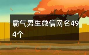 霸气男生微信网名494个
