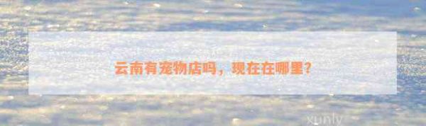 云南有宠物店吗，现在在哪里？