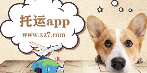 托运app