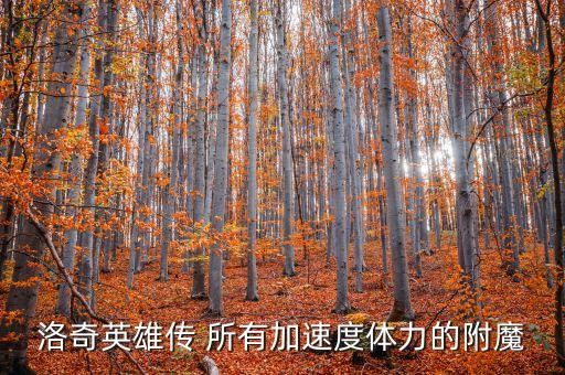 洛奇英雄传 所有加速度体力的附魔
