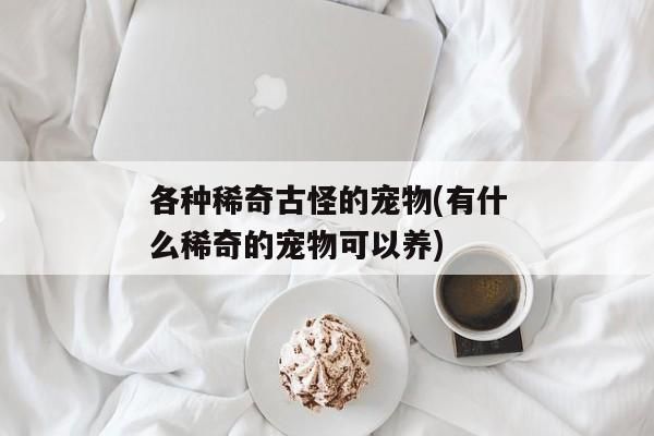 各种稀奇古怪的宠物(有什么稀奇的宠物可以养)