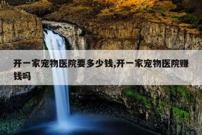 开一家宠物医院要多少钱,开一家宠物医院赚钱吗