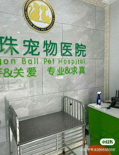 开个宠物医院赚钱吗（开个宠物医院赚钱吗）