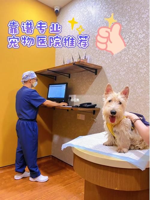 开个宠物医院赚钱吗（开个宠物医院赚钱吗）