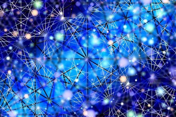 如何为宠物店选择合适的商标类别进行注册？