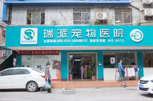 定州最好的宠物医院,定州最好的宠物医院排名