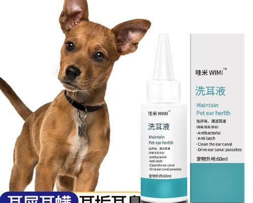 刚出生的小狗为什么会不停地叫（探究小狗叫声背后的原因及应对方法）